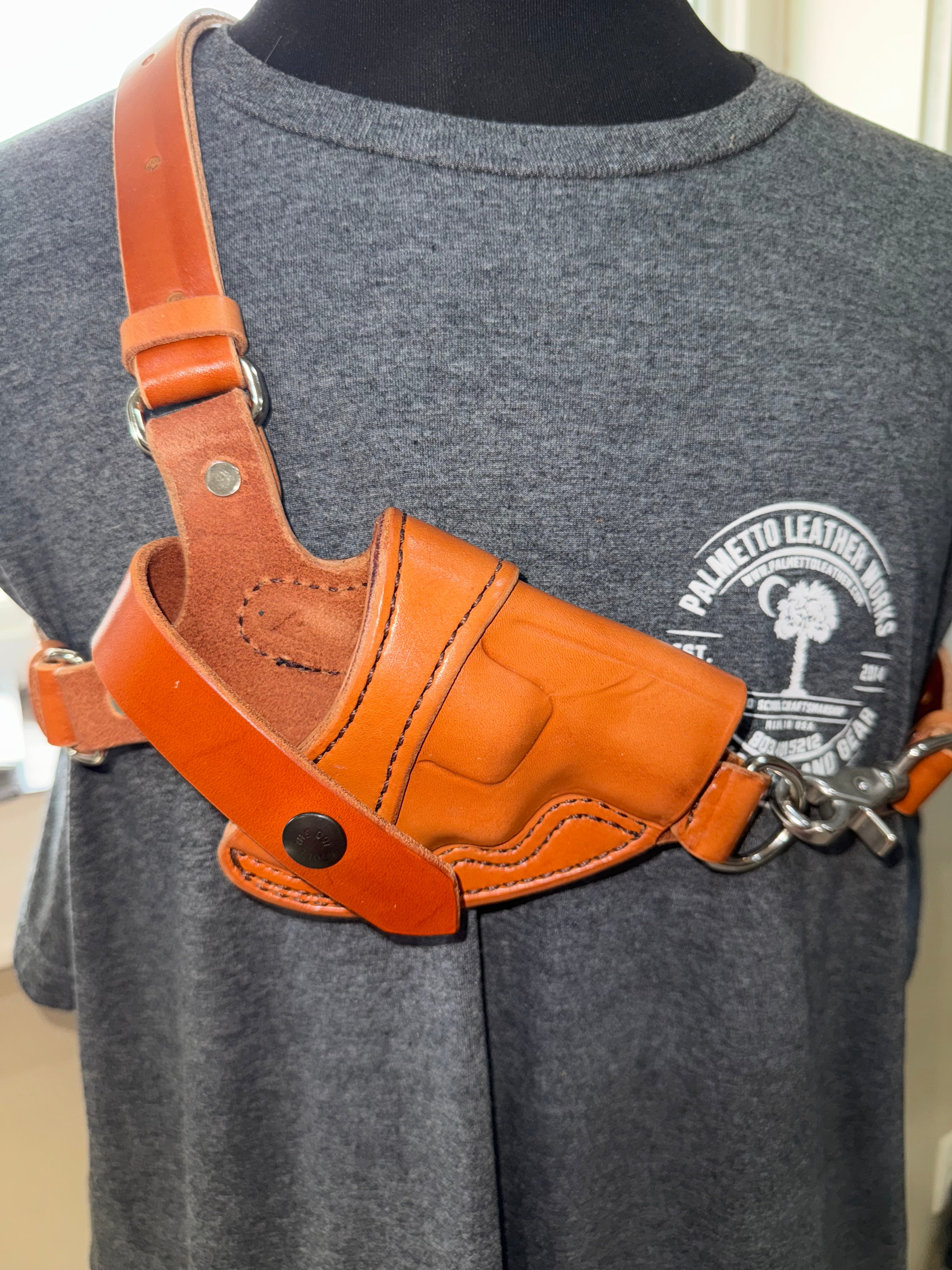 Chest top holster