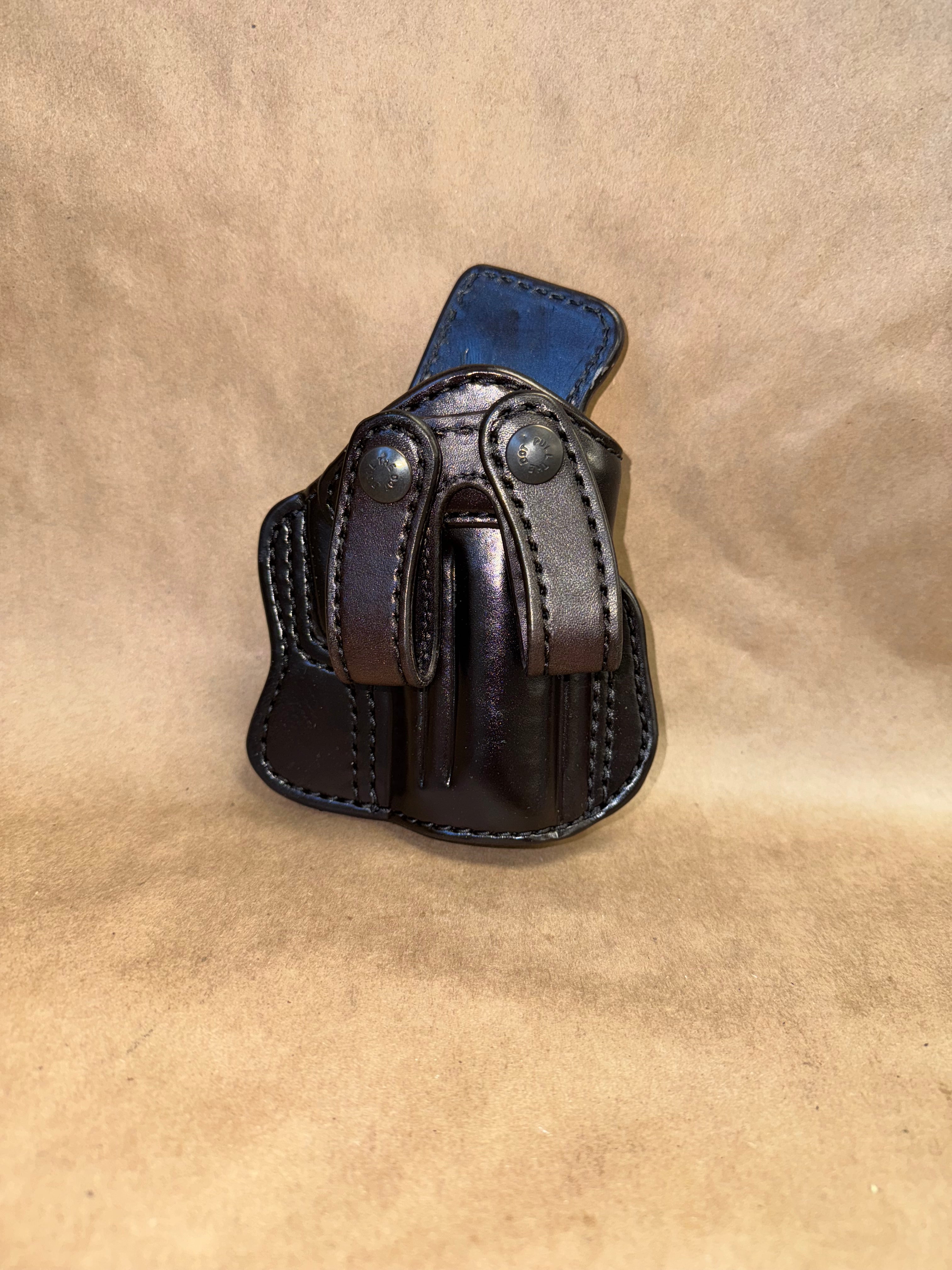 Sig Sauer P229 Professional IWB Holster | Palmetto Leather